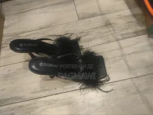 Tulipano Black Heel Shoes