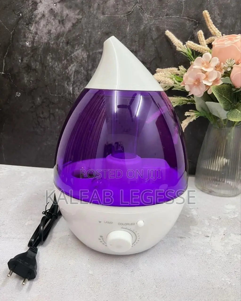  2.6L Cool Steam Air Humidifier