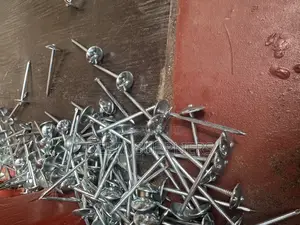 Roofing Nail
