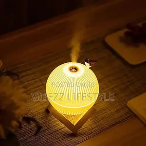 Air Humidifier With LED Light