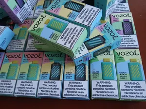 Vozol Vape 10000 Puff