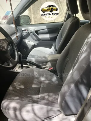 Toyota RAV4 2002 Gray