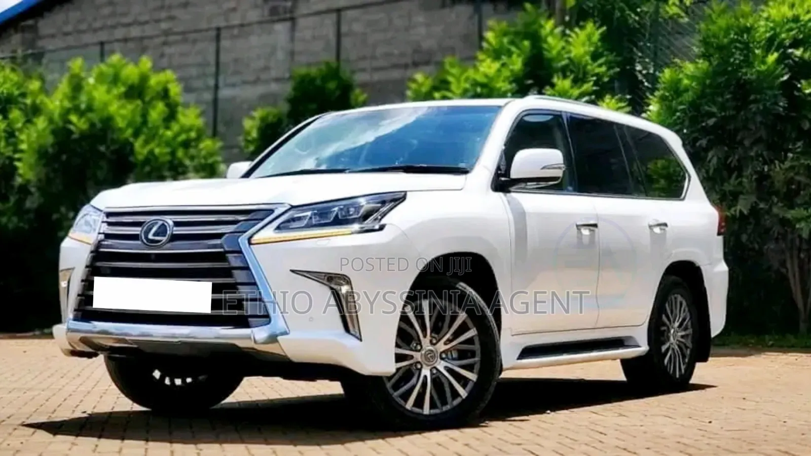 Toyota Lexus for Rent