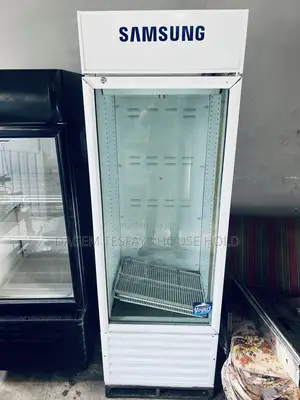 Samsung Display Fridge