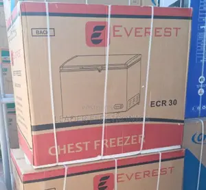 Everest Chest Freezer
