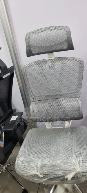 Photo - Ergonomic Chair (White Color)