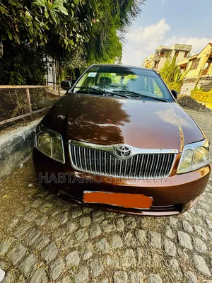 Toyota Corolla 2005 Brown