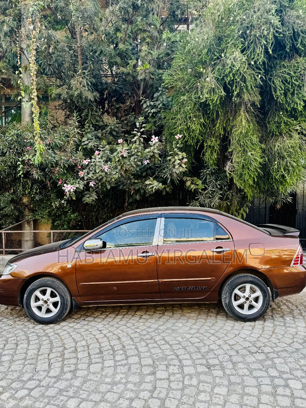 Toyota Corolla 2005 Brown