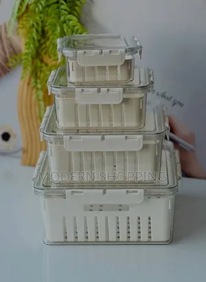 4 Refrigerator Food Storage Box