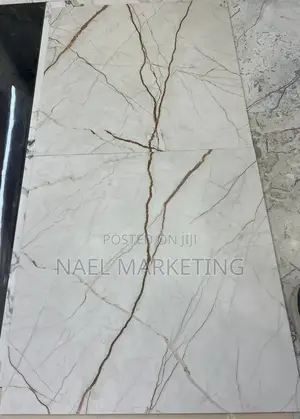 Premium Quality Porcelain 60*60