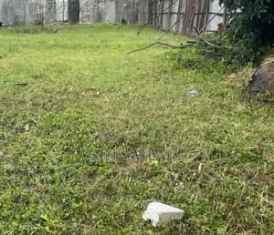 Photo - ለሽያጭ የቀረበ ቦታ