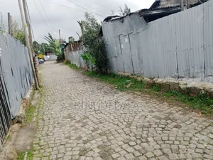 ለሽያጭ የቀረበ ቦታ