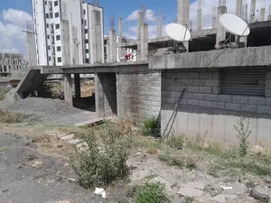 አስቸካይ የሚሸጥ ባታ