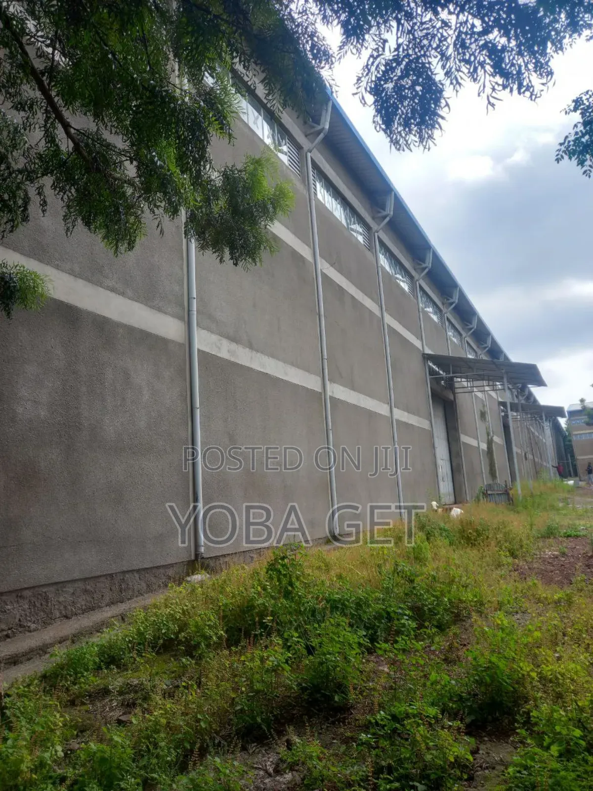 አስቸካይ የሚሸጥ መጋዘን