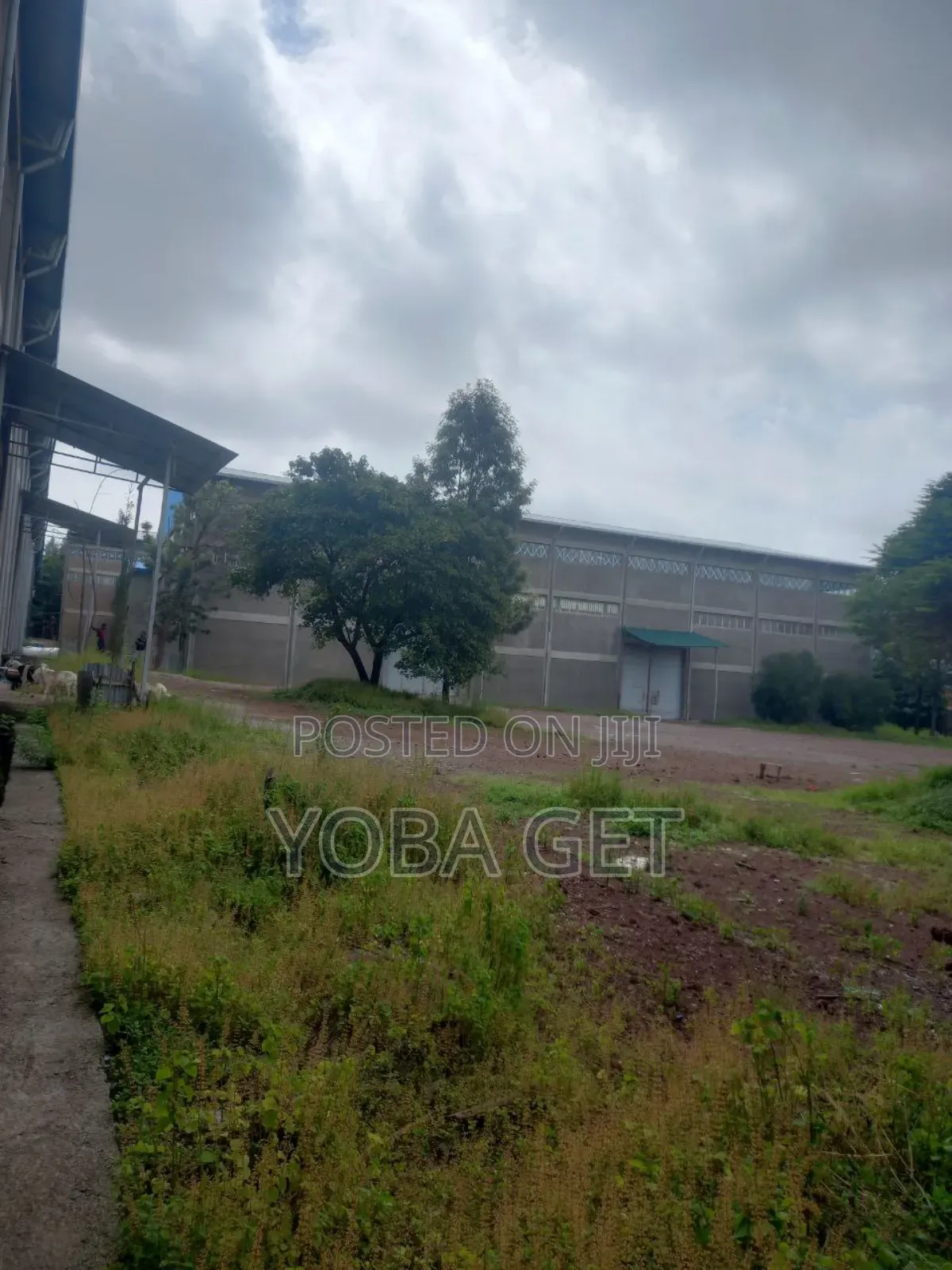 አስቸካይ የሚሸጥ መጋዘን