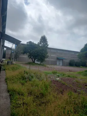 አስቸካይ የሚሸጥ መጋዘን