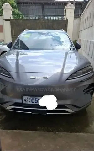 Photo - New BYD Song Plus 2024 Gray