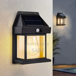 Solar Induction Wall Lamp( Garden Light)