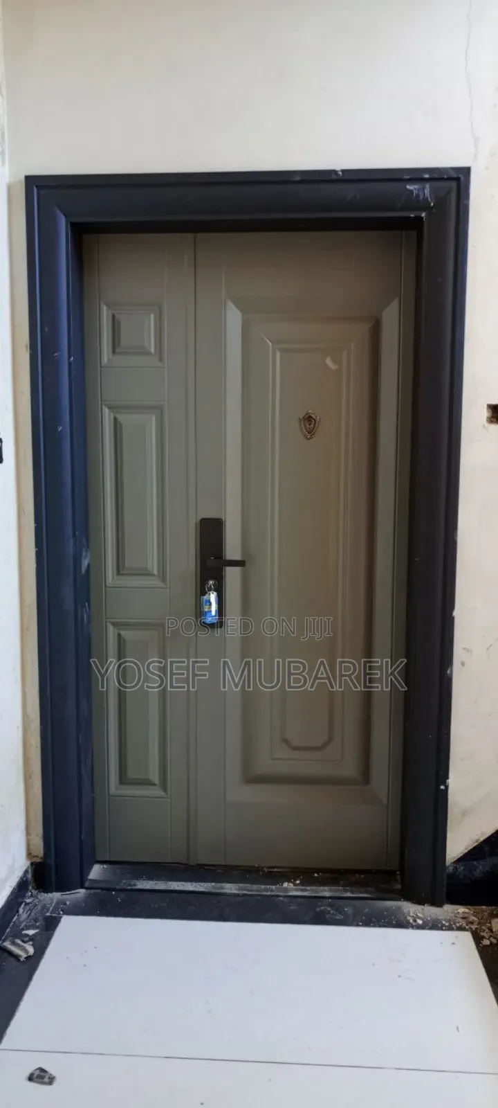 Victor Steelness Steel Doors