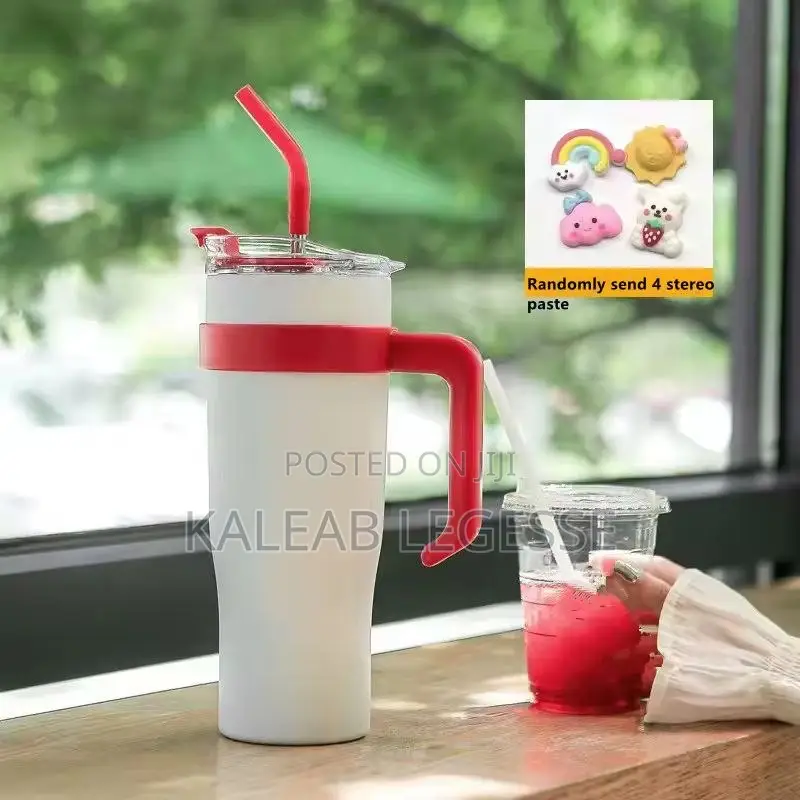 Double Layer Stainless Still With Straw (Travel Cup)