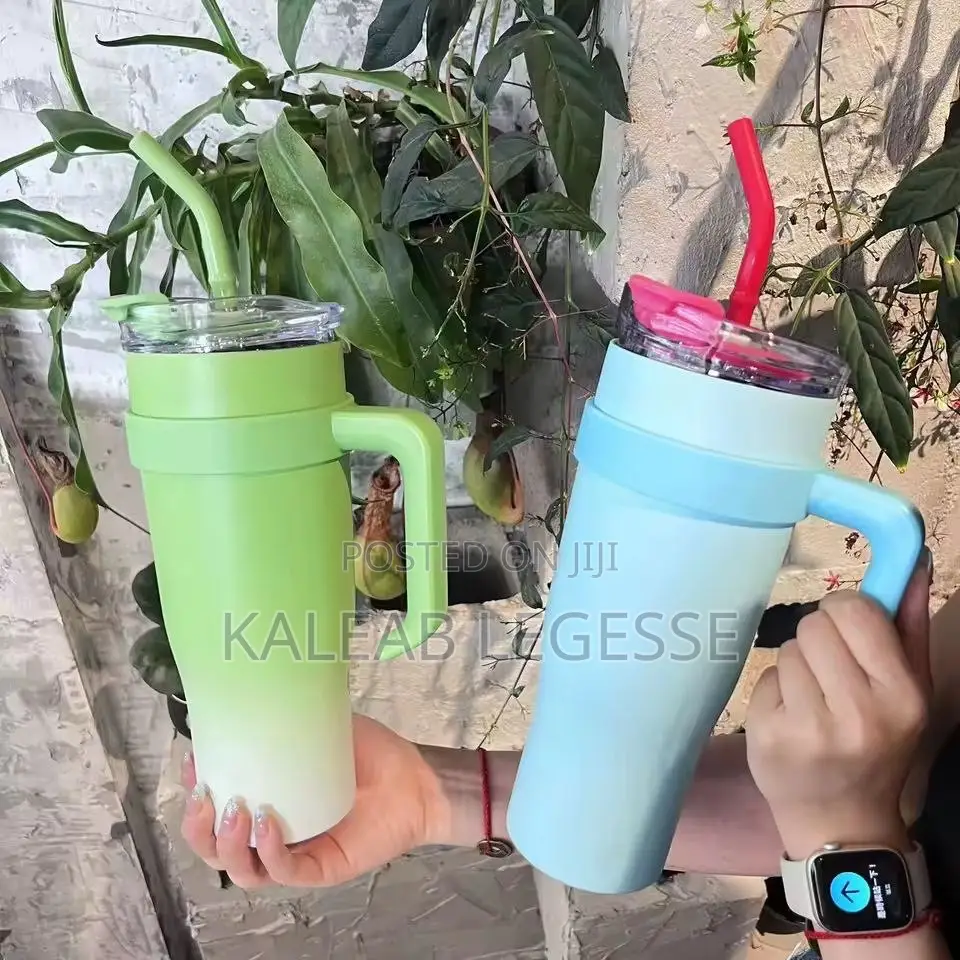 Double Layer Stainless Still With Straw (Travel Cup)