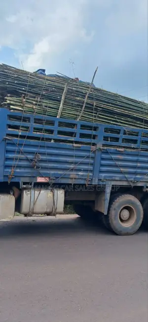 Photo - Cinotruck Cacion