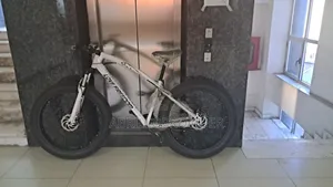 Bike for Adults1strong 26 Inch Fat Tyre LOVEFREEDOM Bicycle