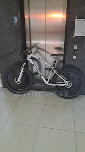 Bike for Adults1strong 26 Inch Fat Tyre LOVEFREEDOM Bicycle