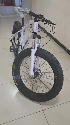 Photo - Bike for Adults1fat Tyre Love Freedom Bicycles1bike MINU