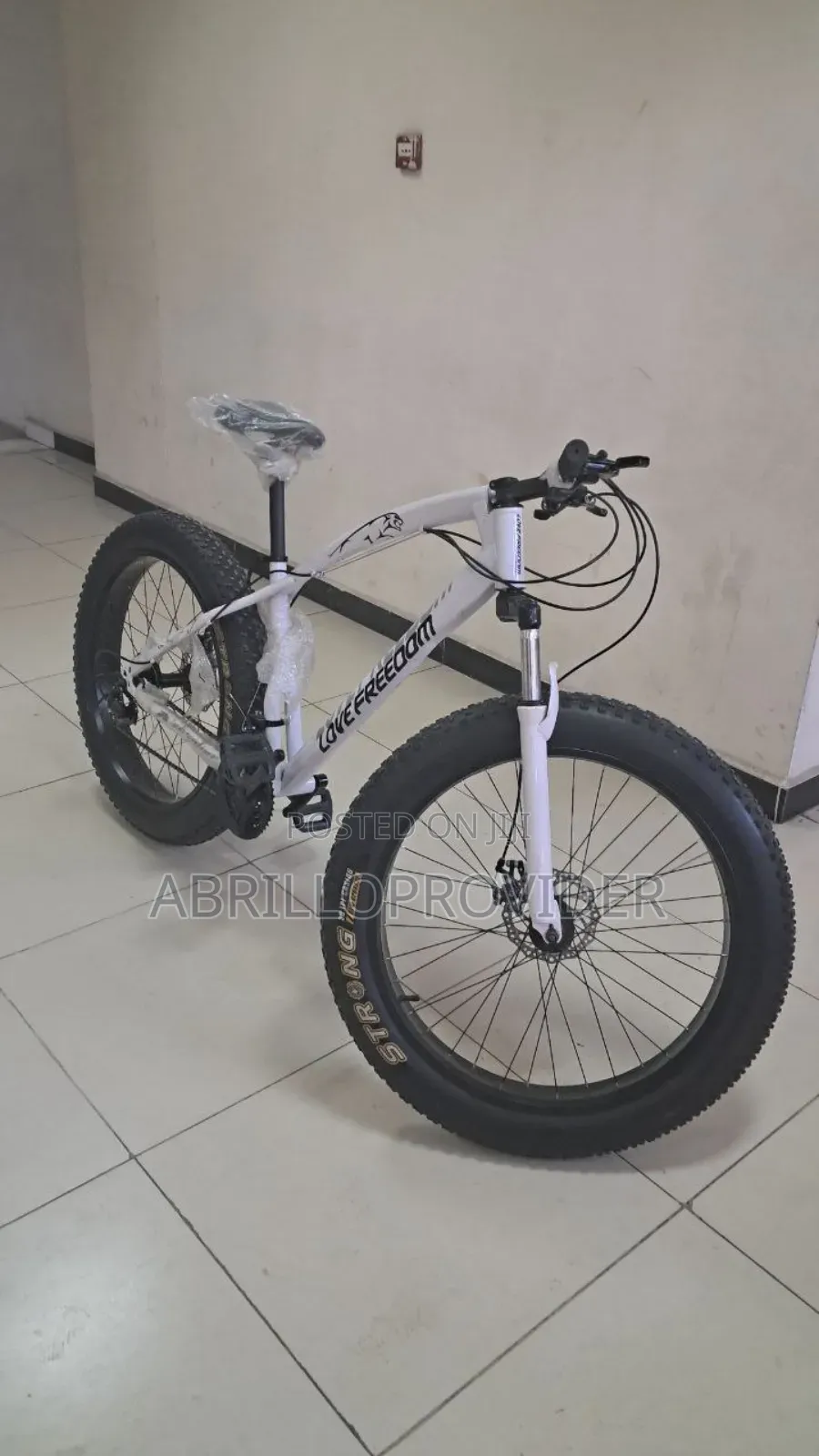 Bike for Adults1fat Tyre Love Freedom Bicycles1bike MINU