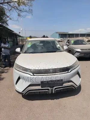 Photo - New BYD Yuan Up 2025 Silver