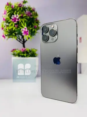 Apple iPhone 13 Pro Max 256 GB Gray