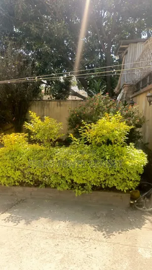 የሚሸጥ ስም ማዞሪያ ያለው ቦታ