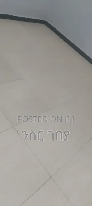 Furnished 2bdrm Condo in Ayat 49, 40/60, Yeka for rent