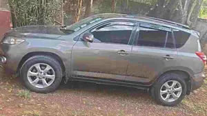 Photo - Toyota RAV4 2012 Beige