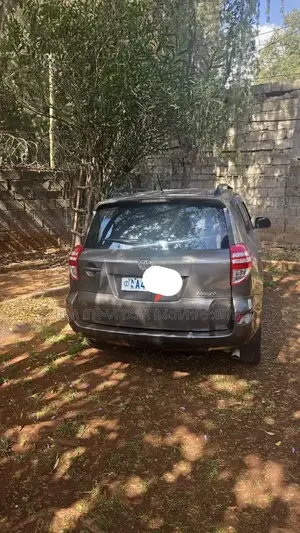 Toyota RAV4 2012 Beige