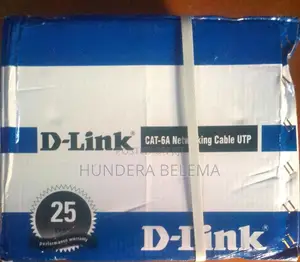 Photo - Cat6a Network Cable D-Link