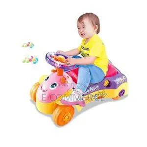 2 in 1 Baby Car and Walker