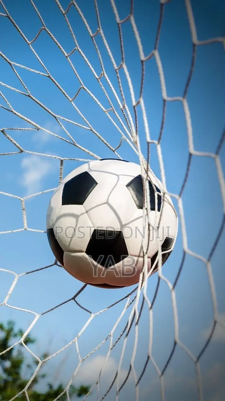 Soccer Football Net