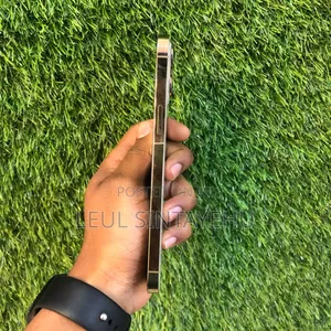 Apple iPhone 12 Pro Max 128 GB Gold