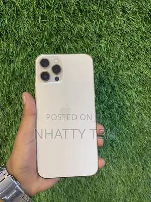 Photo - Apple iPhone 12 Pro Max 256 GB Gold