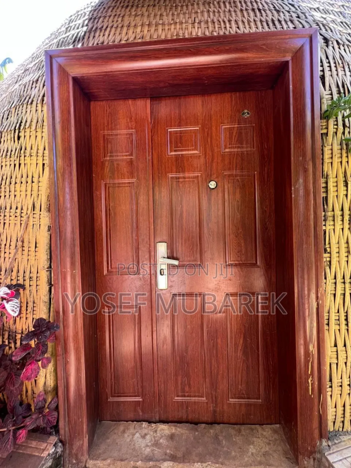 Metal Security Doors