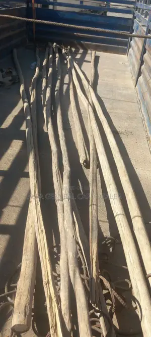 Na ተሳቢ
•2020
••4,000,000