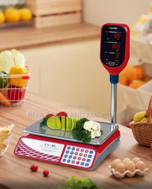 Camry Digital Scale 30kg