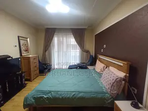 Photo - Furnished 3bdrm Apartment in Tsehay Real State, Bole for rent