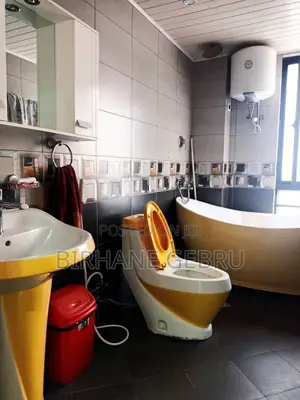 Furnished 3bdrm Apartment in Tsehay Real State, Bole for rent