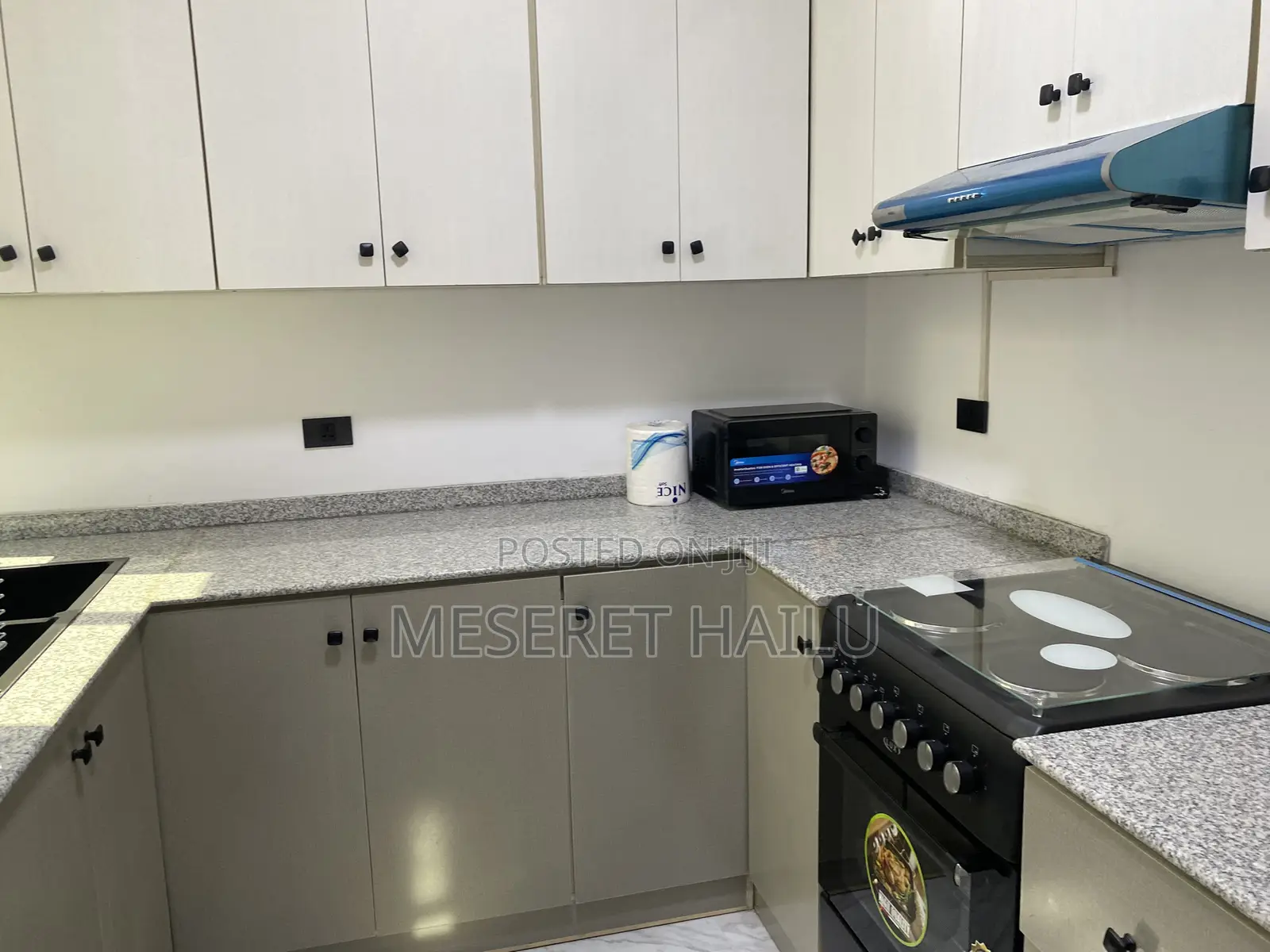 Furnished 1bdrm Apartment in Bole Bolbula for rent