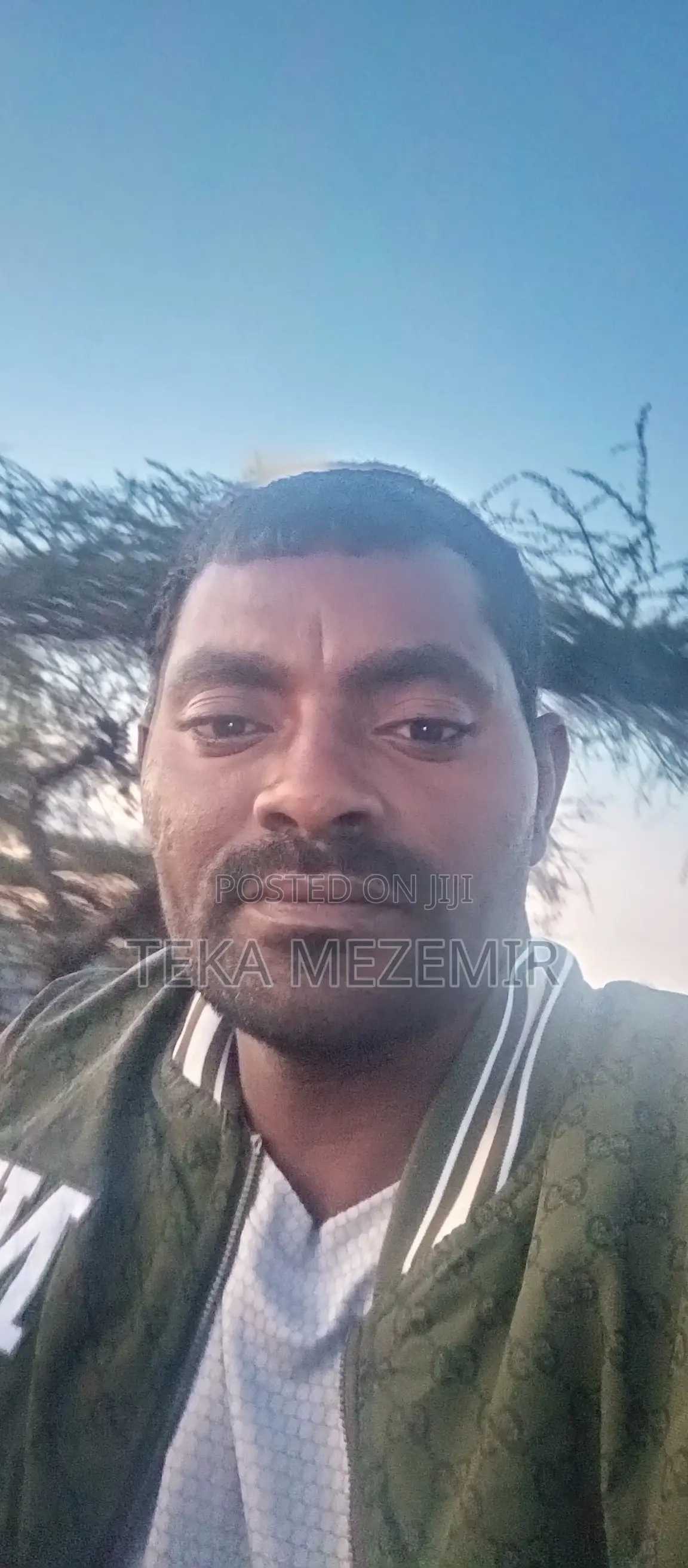 Diesel/Generator Tech + General Work