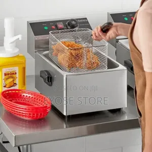  Electric Deep Fryer