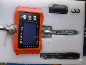 Digital Crane Scale